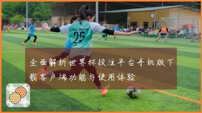 全面解析世界杯投注平台手机版下载客户端功能与使用体验