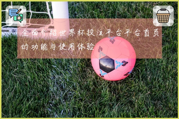 全面介绍世界杯投注平台平台首页的功能与使用体验