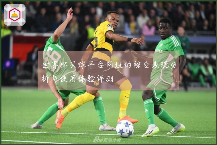 世界杯买球平台网址的综合表现分析与使用体验评测