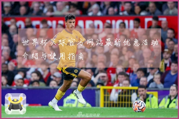 世界杯买球官方网站最新优惠活动介绍与使用指南