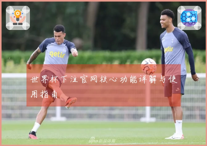 世界杯下注官网核心功能详解与使用指南