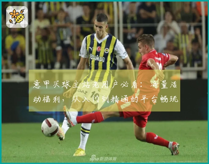 意甲买球主站老用户必看：海量活动福利，从入门到精通的平台畅玩指南