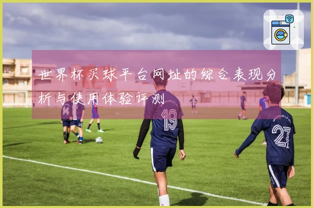 世界杯买球平台网址的综合表现分析与使用体验评测