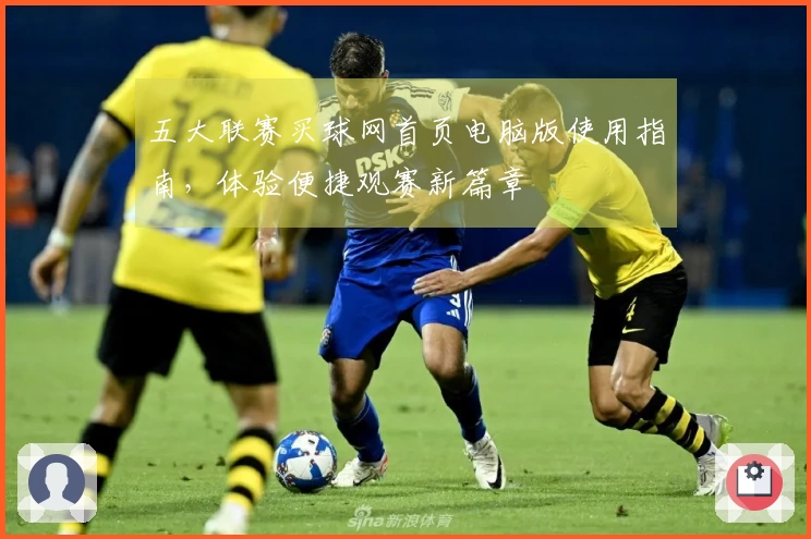 五大联赛买球网首页电脑版使用指南，体验便捷观赛新篇章