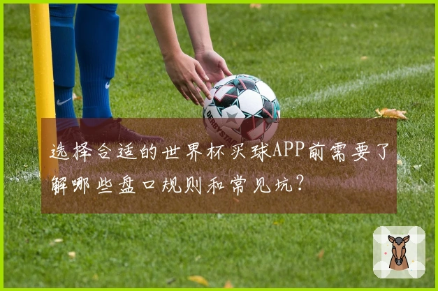 选择合适的世界杯买球APP前需要了解哪些盘口规则和常见坑？
