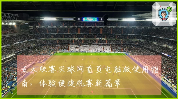五大联赛买球网首页电脑版使用指南，体验便捷观赛新篇章